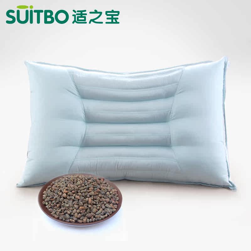 ��֮����׵��ͷ˫�滤��������2209