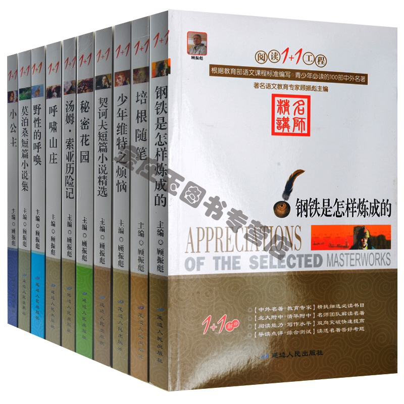 中小学生课外名著必读套装书籍全10册 青少年儿童学生读物10-12-13-14-15岁 名著精解点评解析艺术特色赏析 钢铁是怎样炼成的正版