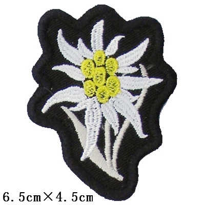 Mountaineer Edelweiss Cap Emblem Cloth Patches Clothes Patches Embroidered Patches Labels Cloth Labels