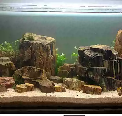 5kg aquarium Wood fossil wood stone fish tank decoration landscaping with turtle drying platform climbing silicified wood Rockery stone