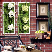 Three-dimensional simulation succulent plant wall decoration Wall Wall Hanging Cafe living room room wall ornaments