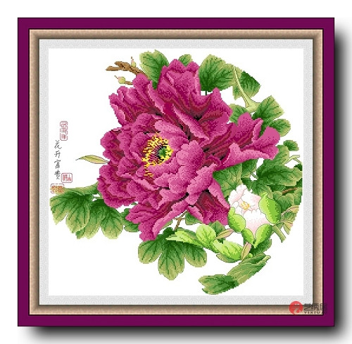 Precision printing *DMC cross embroidered kit * gaze-rose red (HC2663)