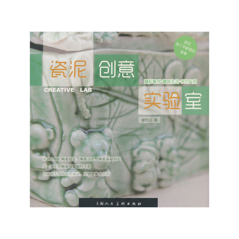 瓷泥创意实验室 廖雨注【新华书店正版】 正版图书 廖雨注