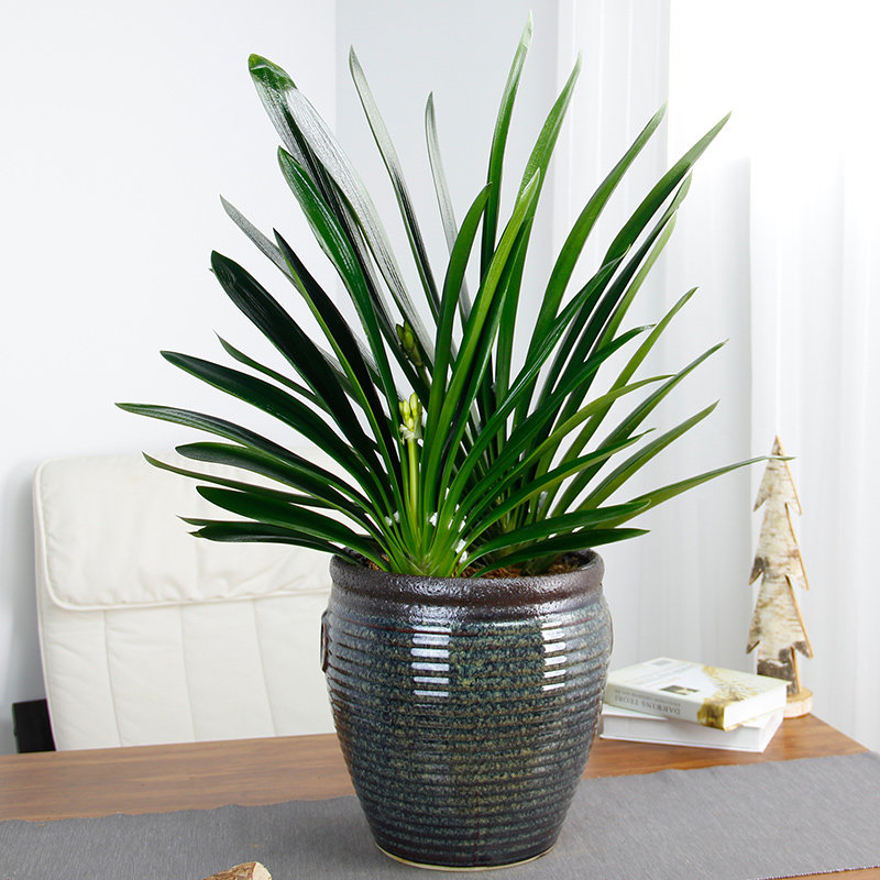 �����о������辰�������辰