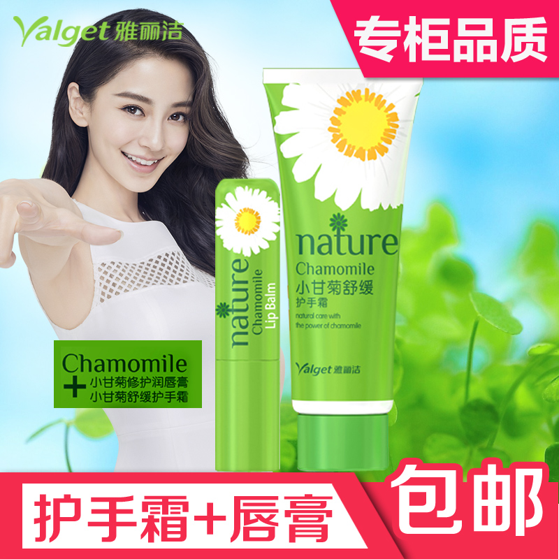 雅丽洁小甘菊修护润唇膏4.8g+小甘菊护手霜20g套装男女保湿滋润