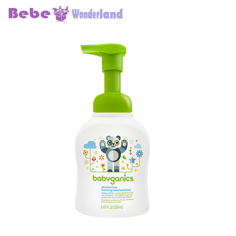 美国BabyGanics甘尼克宝贝天然泡沫干洗手液 250ML