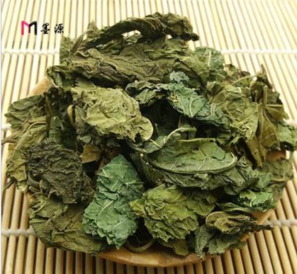 (Recommended by Co hemp) Full amount *CO hemp family personally sun-dried pure natural pollution-free high-quality mulberry leaves