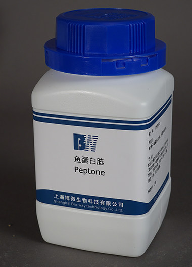 鱼蛋白胨 250g 上海 培养基原料