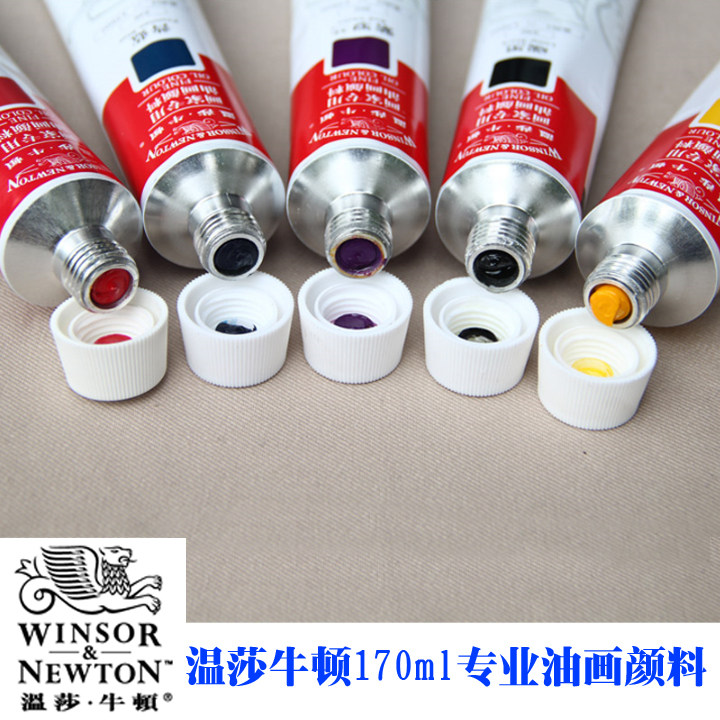 Windsor Newton 170ml Artist Oil Painting Color Pigment Large Dress Professional Fine Art Painting Material