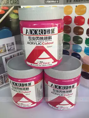 Acrylic 300ml propylene pigment wall painting acrylic pigment wall painting pigment process coating pigment 53 colors optional