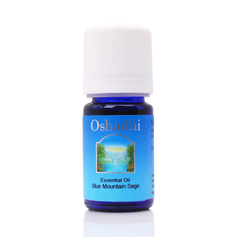 Oshadhi德国O家 #2675狭长叶鼠尾草(蓝山鼠尾草)5ml