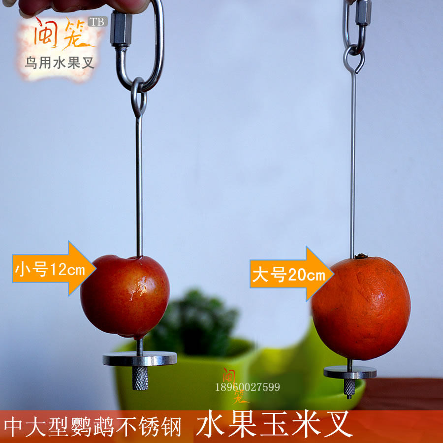 Medium Large Parrot Supplies High Quality Pure Stainless Steel Fruit Fork Corn Toy Fruit Fork Dragon Cat Bird Cage Accessories