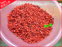 Red Coral Seven Gem Wholesale Can Hold Seven Treasures for Manza Buddha Statue Water Supply Cup Jin