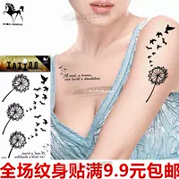 Hình xăm Real Madrid hình xăm không thấm nước Cám dỗ cá tính gợi cảm Dandelion Flying Bird Tattoo Body paint for men and Women hình xăm dan