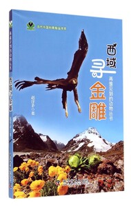 正版]西域寻金雕 赵序茅 科学普及 9787110086377