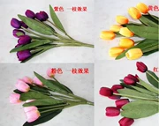 Mô phỏng hoa tulip giả, hoa khô, hoa, hoa, 9 hoa tulip, hoa trang trí cao cấp - Hoa nhân tạo / Cây / Trái cây