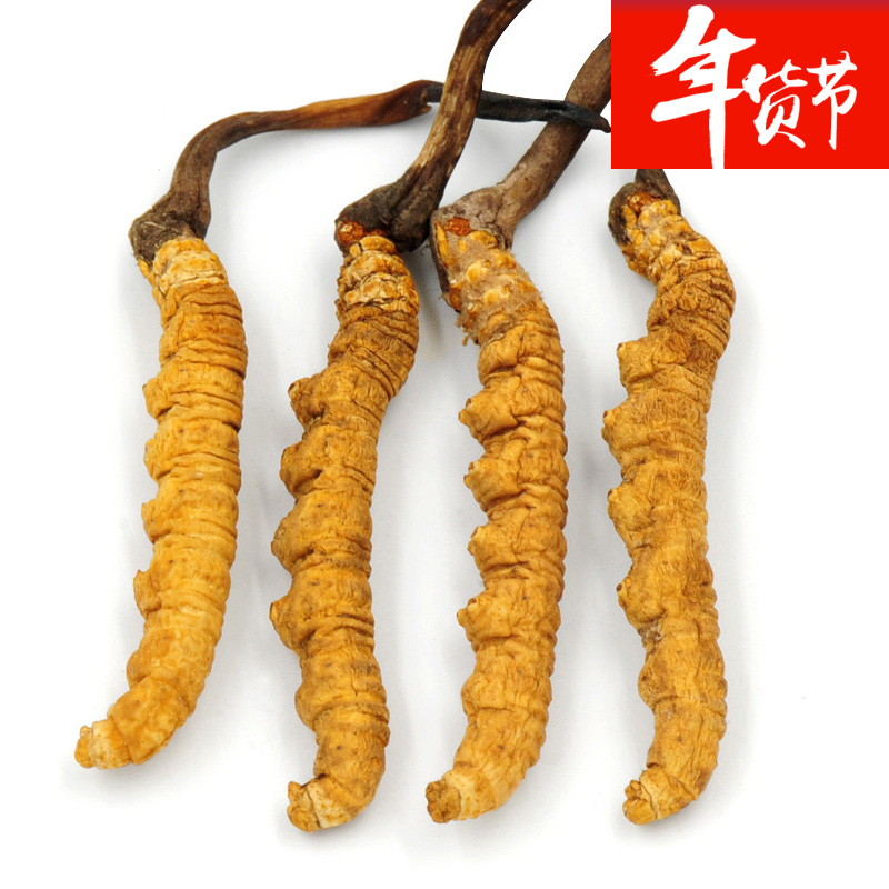 晟海祥 西藏那曲野生虫草 冬虫夏草 可配礼盒XM