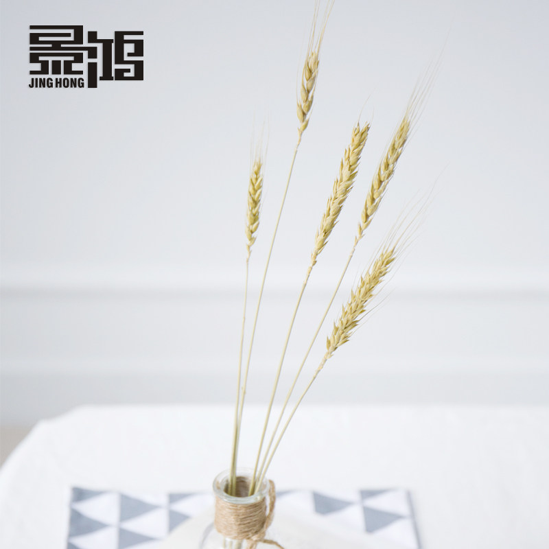 �����������̨���ߵ���