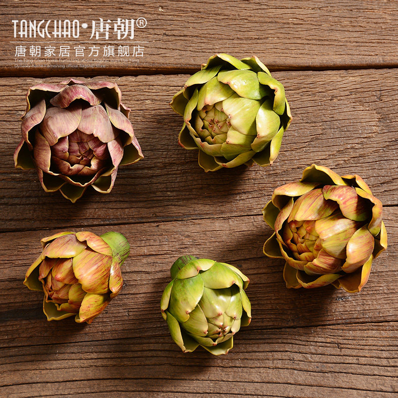 �Ƴ��Ҿ���Ʒ���滨CXP001