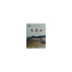 文家山(良渚遗址群考古报告)(精)
