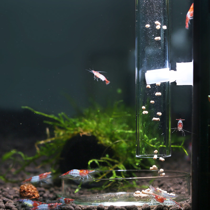 Crystal shrimp cherry blossom flame viewing shrimp bottom fish basin glass plate feeder acrylic feeding tube 7110