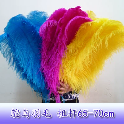 65-70 см. Грубое стержневые перья Свадебные декоративные дороги Dittar Ornament Home мягкие декоративные аксессуары выполнены