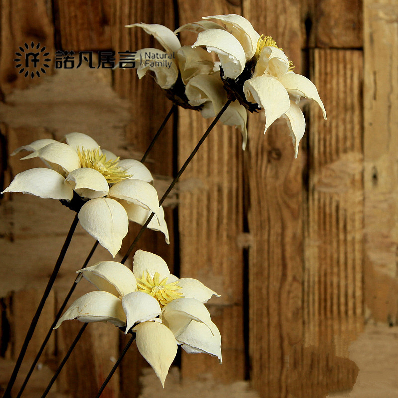 ŵ������װ�λ���ط��滨CH49