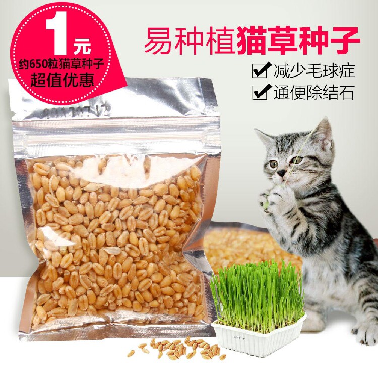 Cat grass Organic cat grass seeds are easy to grow and high quality, adjust the stomach, cat snacks, hair balls, 30g pack