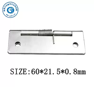 Guangyou factory supply 304 stainless steel spring hinge elastic hinge automatic closing hinge 60*21 8*0 8