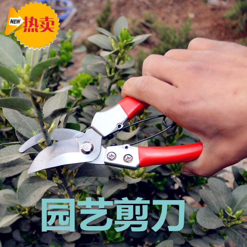 锰钢修枝剪修花木园林工具园艺剪刀果树剪子粗枝剪摘果花剪