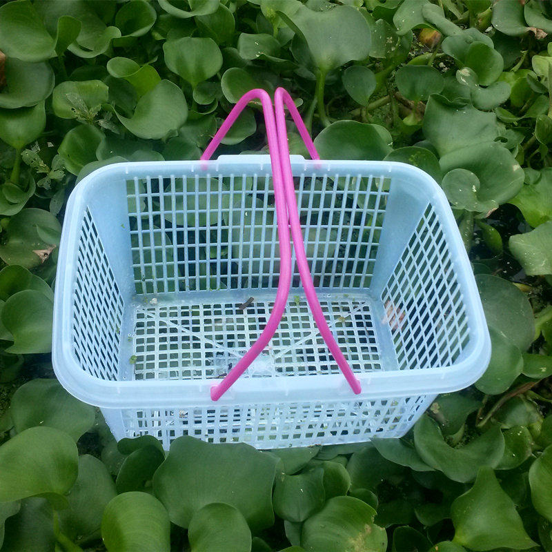 Special price Wholesale white 12 catty Young plum basket Grape Picking Basket hand plastic fruit basket Mushroom Basket Covered