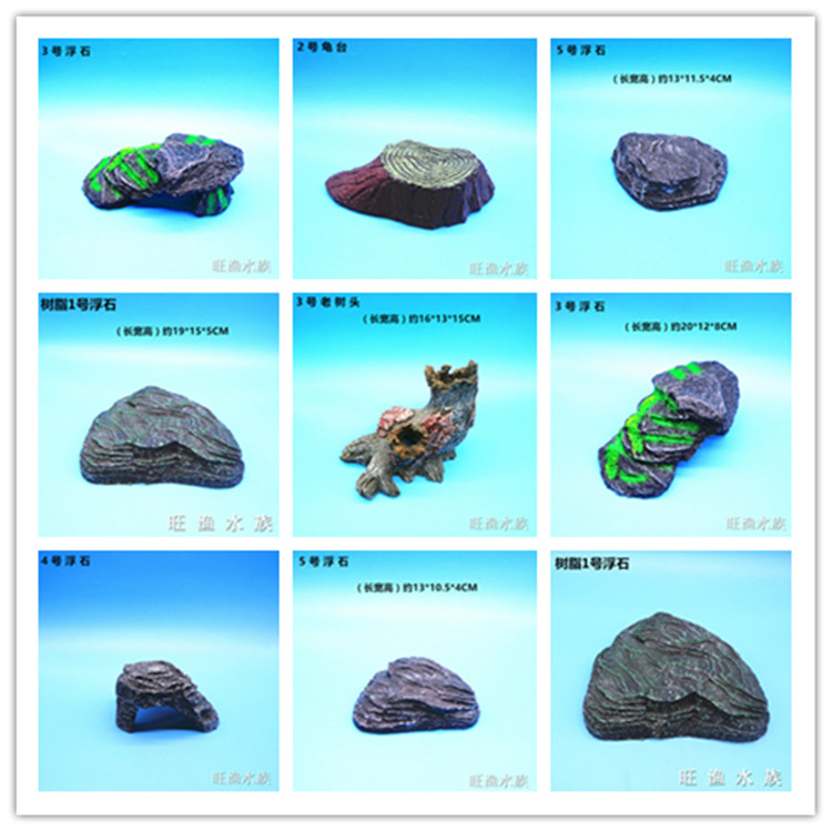 Turtle Table Climbing Large Turtle Cruise Island Climbing Brazilian Turtle Background to Avoid Cave Tortoise