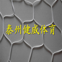 Wholesale supply of 5-a-side polyester rhombus football net hexagonal football net