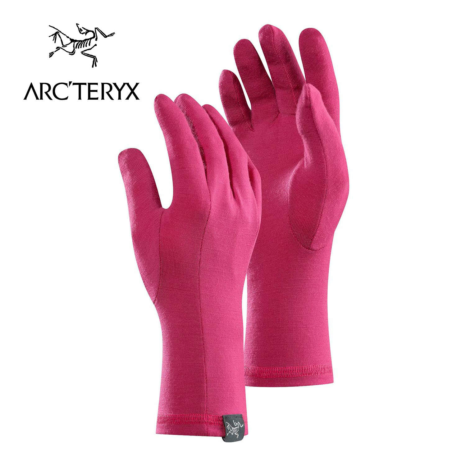 ARCTERYX/始祖鸟 手套-Gothic Glove 8242