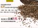 2018 New kiều mạch vỏ kiều mạch vỏ gối đắng kiều mạch vỏ điền bằng cách điền thông DIY kiều mạch vận chuyển 5 pound - Gối gối văn phòng Gối