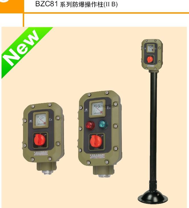 Shanghai Huarong Technology explosion-proof operation column BCZ81-A2D2G