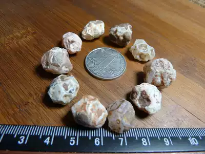 14314 Rough Xinjiang Shanshan turtle agate 10 pieces about 1 5cm