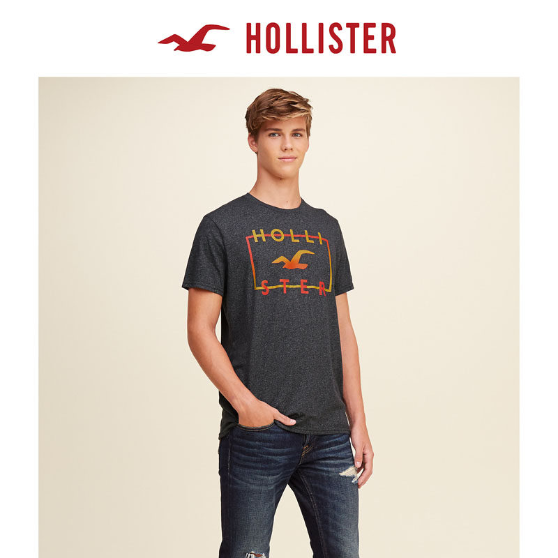 Hollister 标识图案 T 恤 男 121573