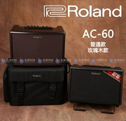 Loa Roland Ballroom đa chức năng Roland Roland AC60 Bắc Kinh Spot - Loa loa