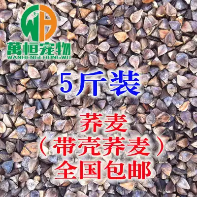 Original buckwheat shelled buckwheat parrot large and medium-sized bird hamster natural grain bird food bird food 5kg