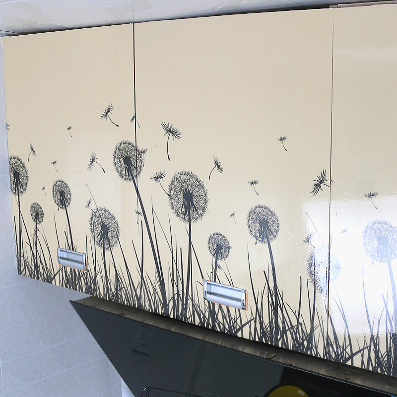 Сޱ��Լ�ִ���ֽ�ѹ�Ӣ