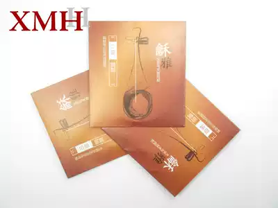 Xinghai Gospel and Ya Steel Rope Nylon Pipa String Professional Copper