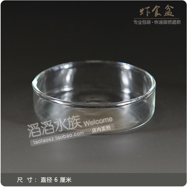 Crystal shrimp Su ornamental shrimp crayfish sky shrimp food basin small diameter 6 cm glass dish transparent high quality