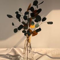 Holland imported round leaf eucalyptus leaf vein lines Eternal flower Premium bouquet selection with leaf literary flower arrangement