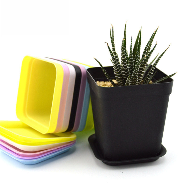 10 multi-meat planting small square basin flower green planting plastic flower pot base section thickened small black square nutrition bowl mini