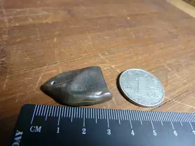 11899 Xinjiang Hami big South Lake surface silicified wood pendant