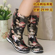 Giày cao gót, giày nữ, mùa xuân, mùa hè, mùa thu và mùa đông, cộng với nhung, giày đi mưa ấm áp, giày thời trang, giày cao su chống trượt