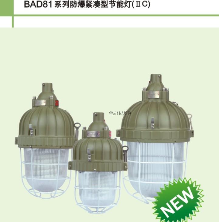 Shanghai Huarong explosion-proof compact energy-saving lamp BAD81-42 HRD81