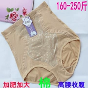 Quần lót bụng cao eo Nữ cotton sau sinh siêu béo MM lớn lấy lại cơ bụng định hình quần cơ thể