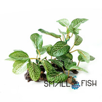 Simulated tree branches aquatic plants fake aquatic plants 1529102 aquarium landscaping box fish tank bottom decoration 12CM high